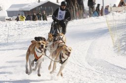 Lenk 2012 SM